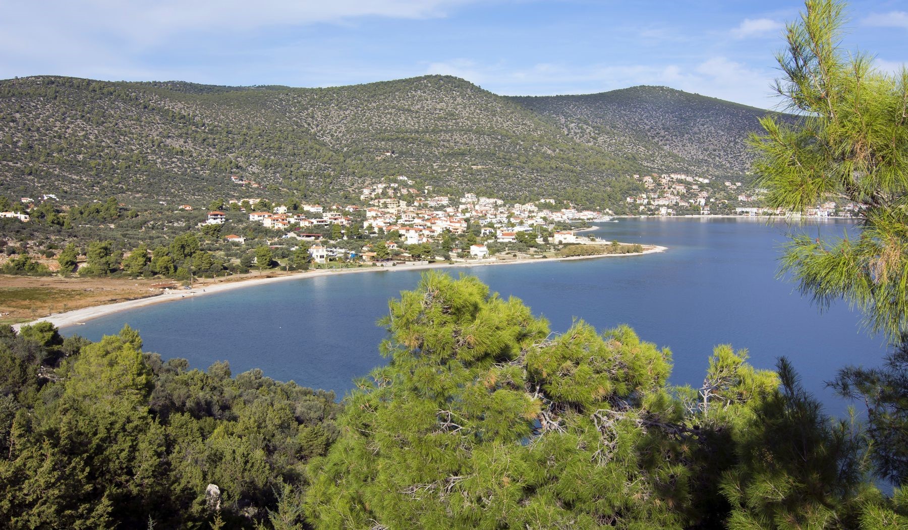 Lavender Cove  - pic #11