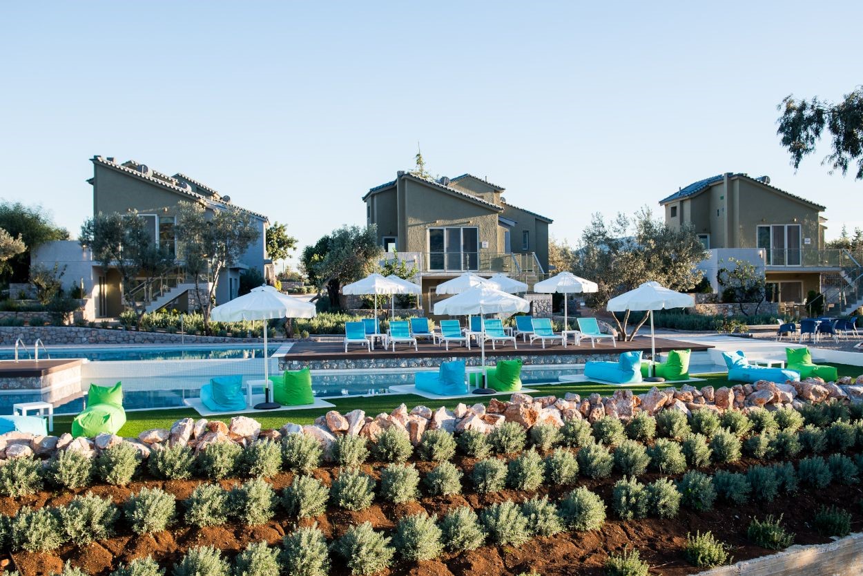 Lavender Cove  - pic #2