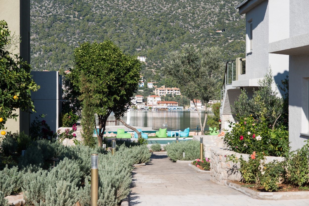 Lavender Cove  - pic #3