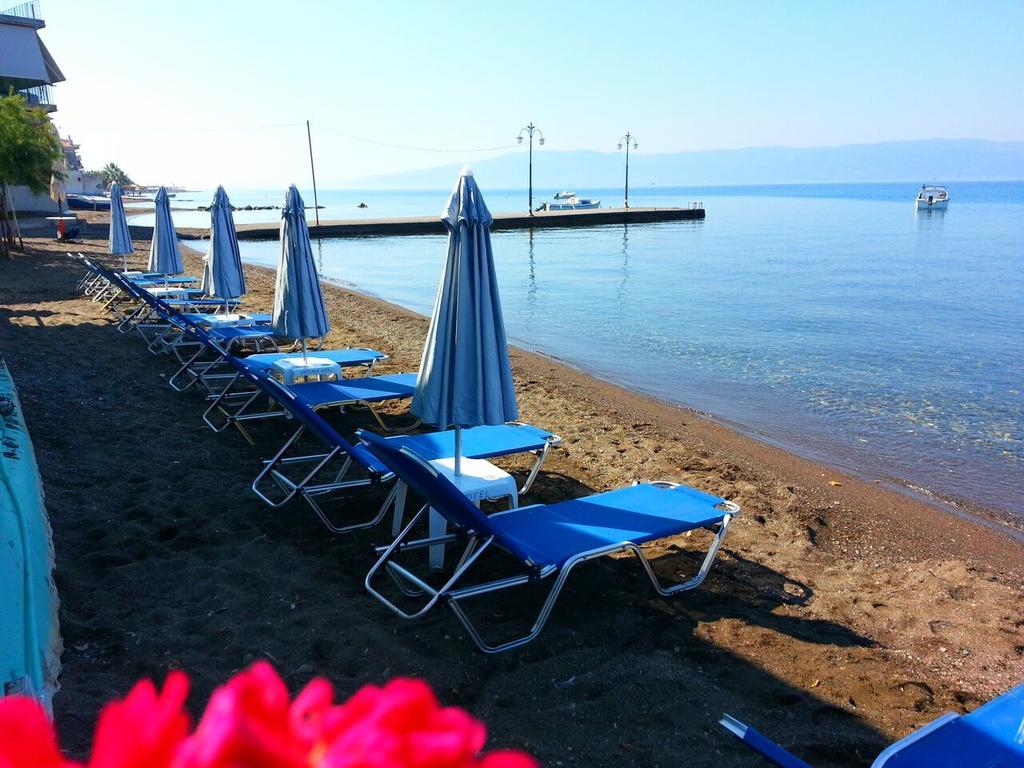 Artemis Hotel  - pic #22