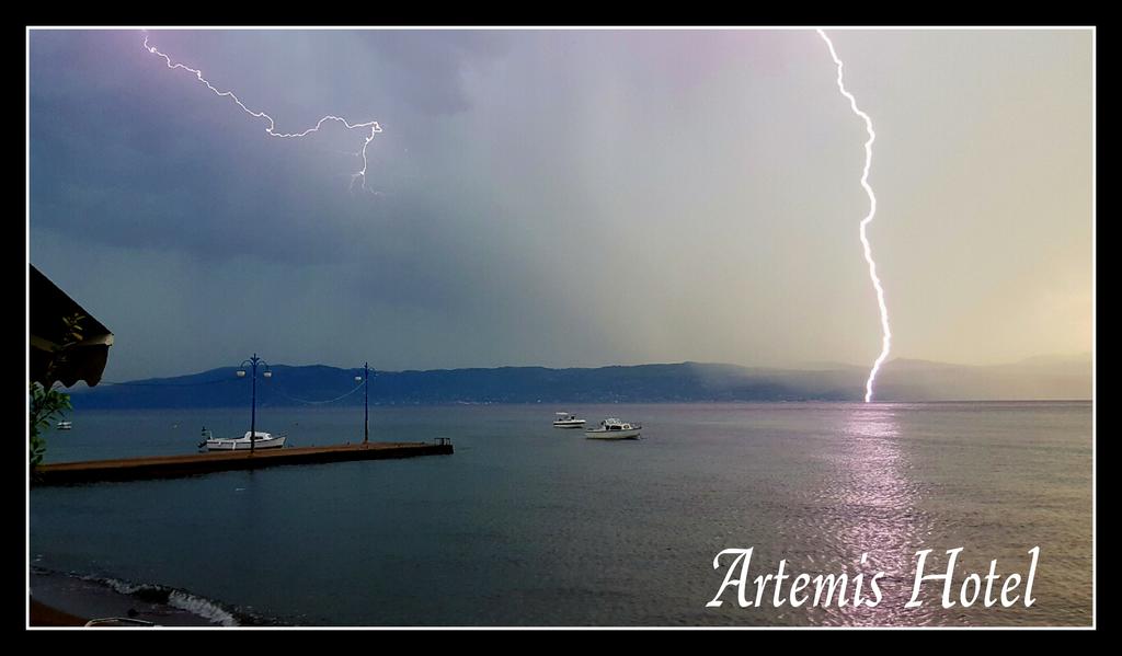 Artemis Hotel  - pic #25
