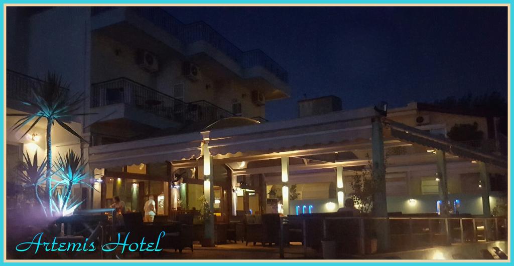 Artemis Hotel  - pic #26