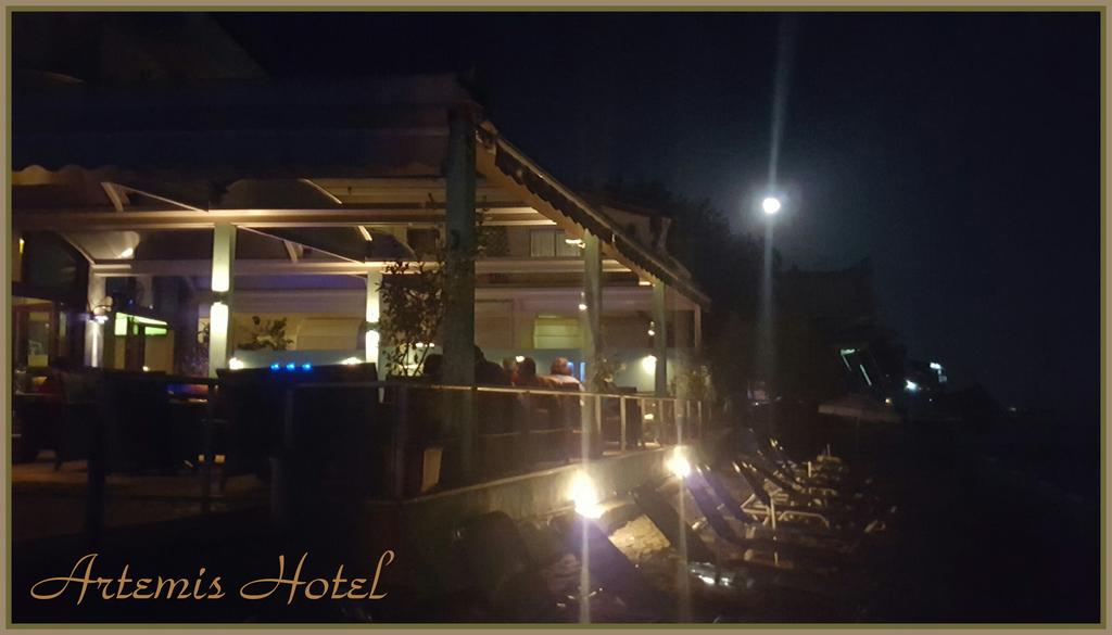 Artemis Hotel  - pic #27