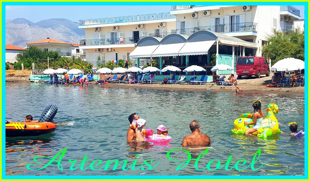 Artemis Hotel  - pic #29