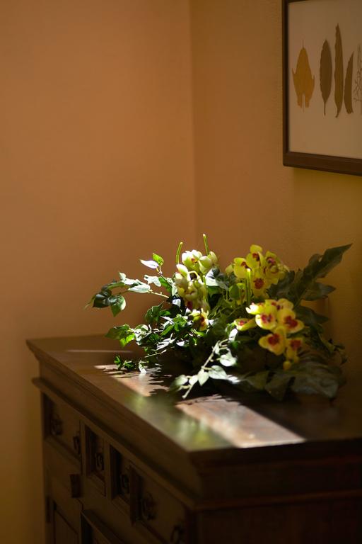 Samaina Hotels Inn 