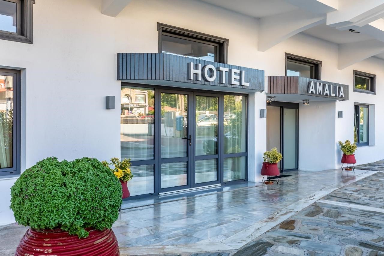 Hotel Amalia  - pic #8