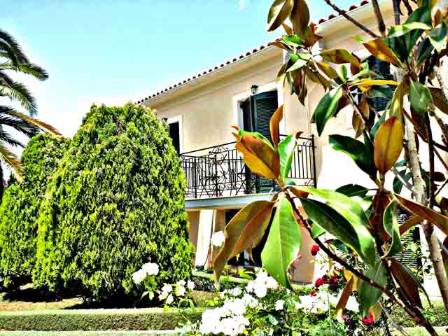 Acroploro  - pic #2